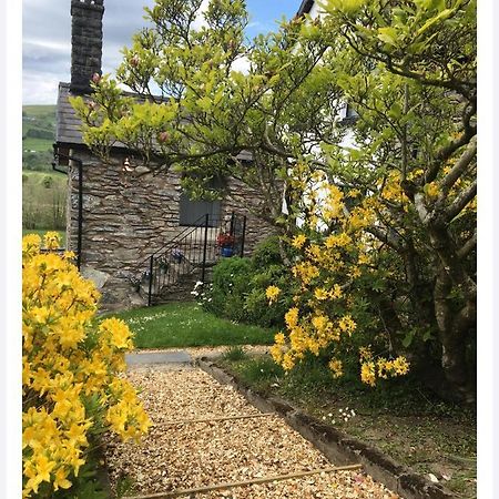 Hares Hideaway At Coed Moelfa Bed & Breakfast Corwen Bagian luar foto