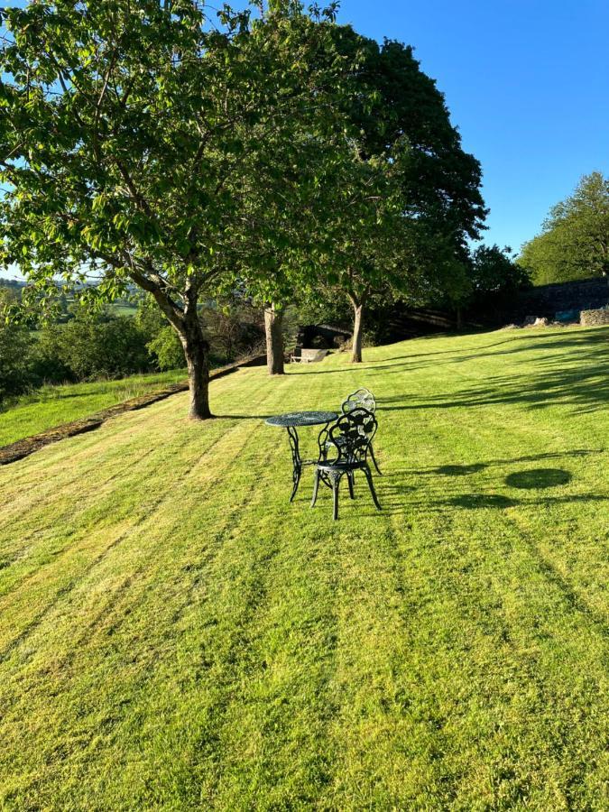 Hares Hideaway At Coed Moelfa Bed & Breakfast Corwen Bagian luar foto