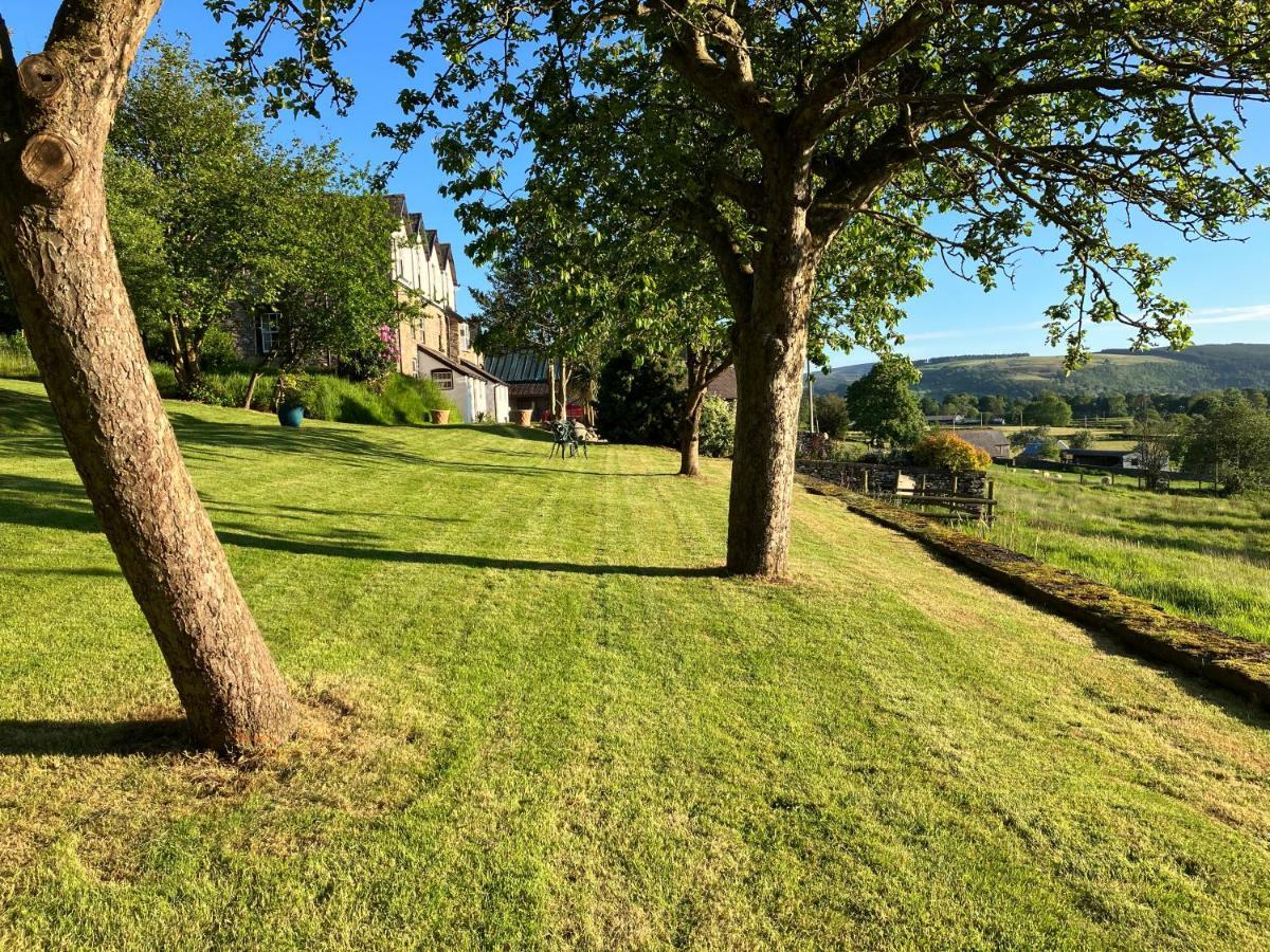 Hares Hideaway At Coed Moelfa Bed & Breakfast Corwen Bagian luar foto
