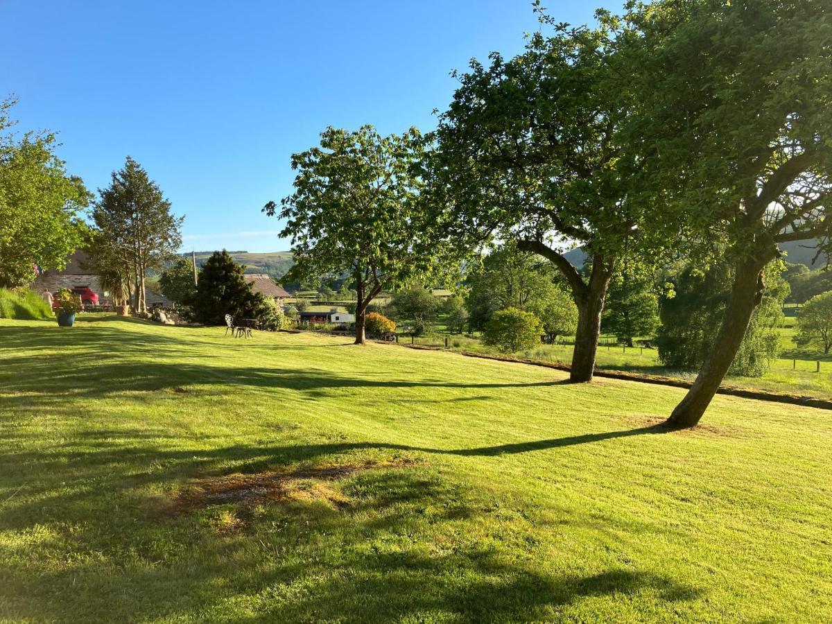 Hares Hideaway At Coed Moelfa Bed & Breakfast Corwen Bagian luar foto