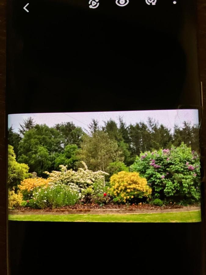 Hares Hideaway At Coed Moelfa Bed & Breakfast Corwen Bagian luar foto