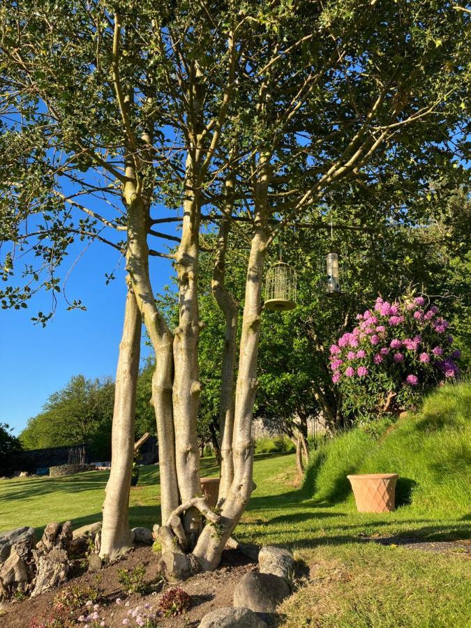 Hares Hideaway At Coed Moelfa Bed & Breakfast Corwen Bagian luar foto