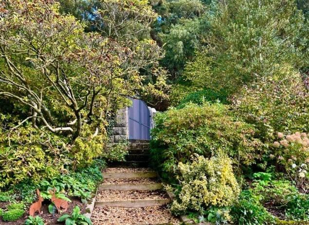 Hares Hideaway At Coed Moelfa Bed & Breakfast Corwen Bagian luar foto