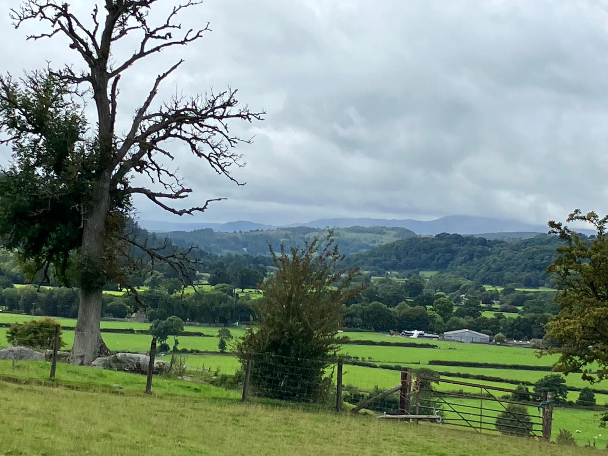 Hares Hideaway At Coed Moelfa Bed & Breakfast Corwen Bagian luar foto